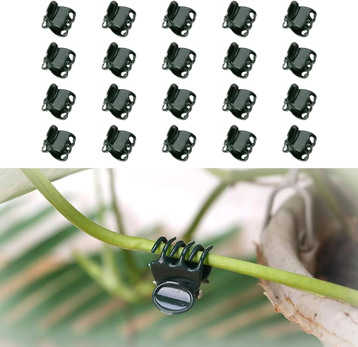 Orchid Clips Supports, 20 Pcs Plant Support Clips Plant Clips for ...