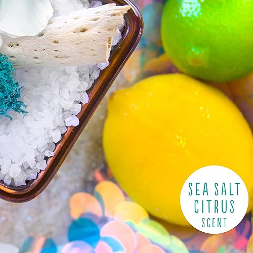 Miniatura 4 de Hallu Bomba de ducha de sirena, aroma cítrico de sal marina, 2.82 oz cada uno, 8 paquetes de 2 (16 en total)