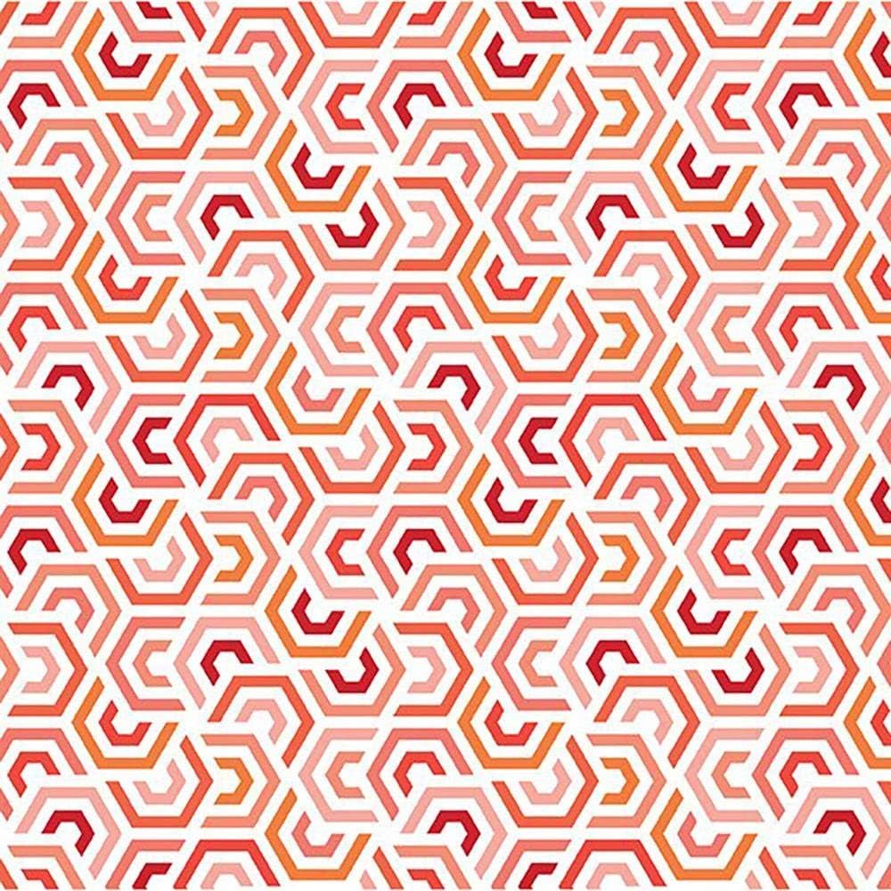 In The Beginning Fabrics Hummingbird Lane Fractured Maze Coral