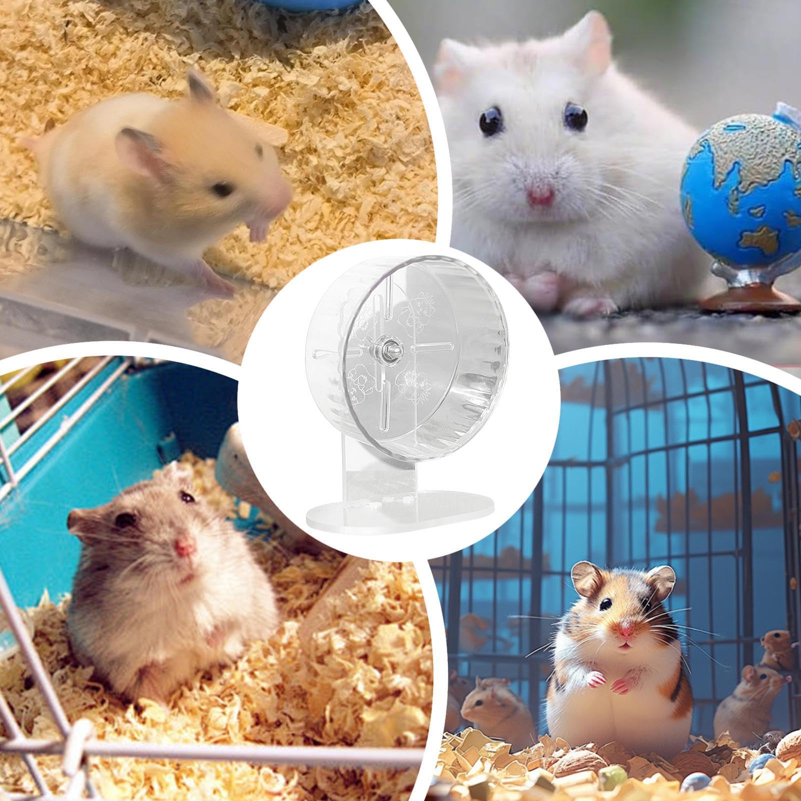 Ciche koło chomika, przezroczyste koło do biegania, regulacja wysokości obrotówki, akrylowa zabawka Gerbil, przezroczysta i szorstka akcesoria dla chomików, 18 cm, 200 g