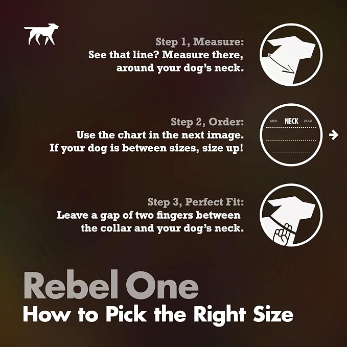 Collar ajustable premium para perro pequeño con diseño Rebel One miniatura 7