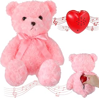 Hungdao 2 Pcs Bear Stuffed Animals with Voice Recorder Set, 60 Seconds Voice Sound Recorder Module 16 Inch Soft Plush Cute Stuffed Bear with Zipper Sound Box Recordable Heart (Pink)