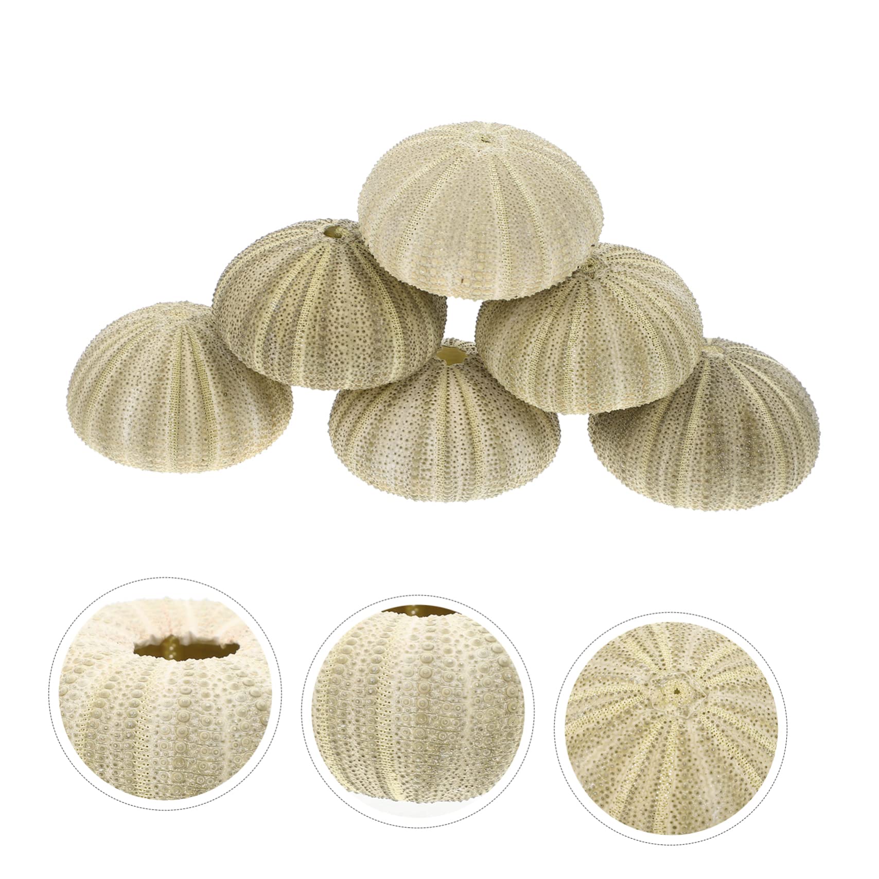 VANZACK 24pièces Décorations Ornements pour Bureau Et Aquarium Support Naturel pour Plantes Aériennes pour Artisanat