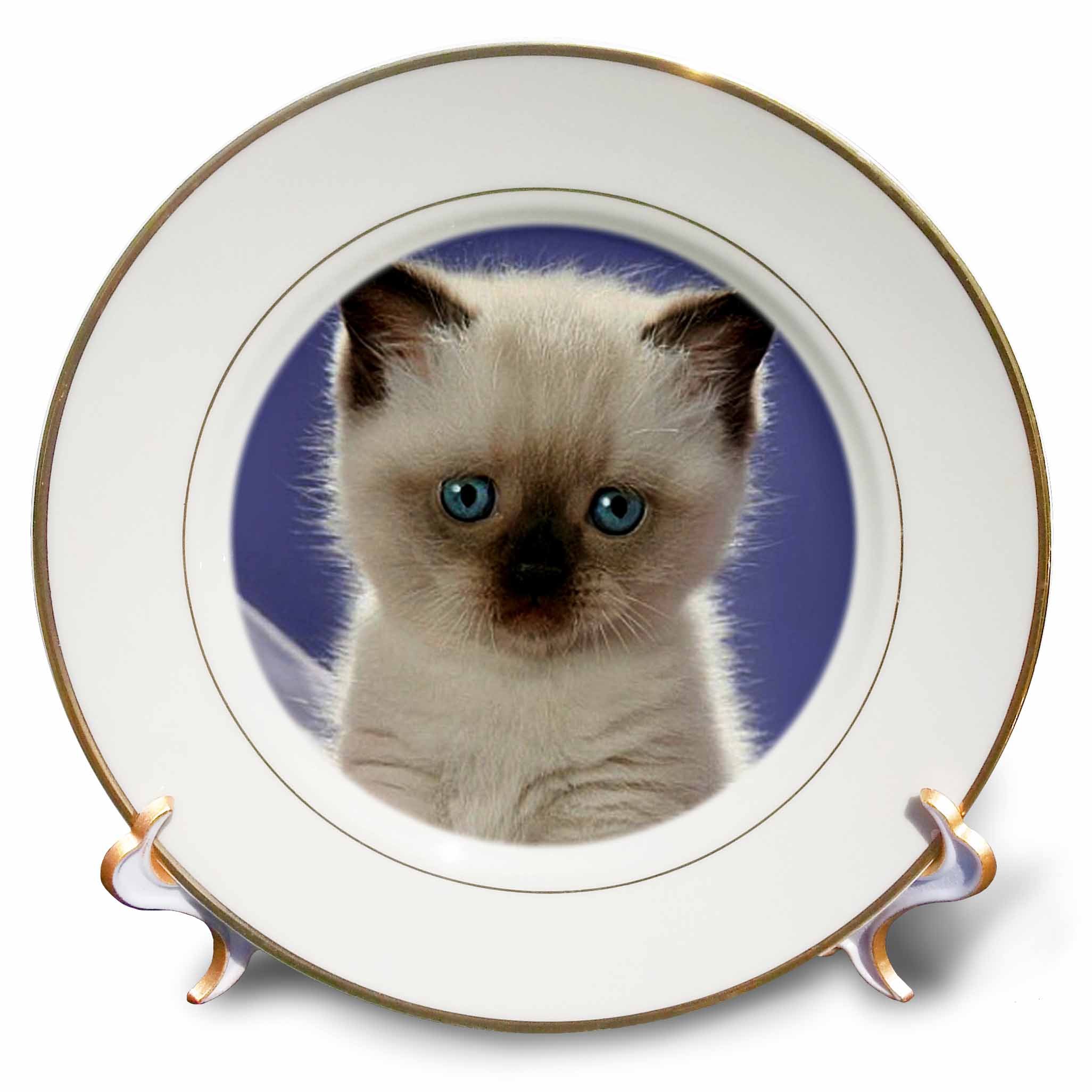 3dRose cp_21188_1 Siamese Kitten Porcelain Plate, 8-Inch