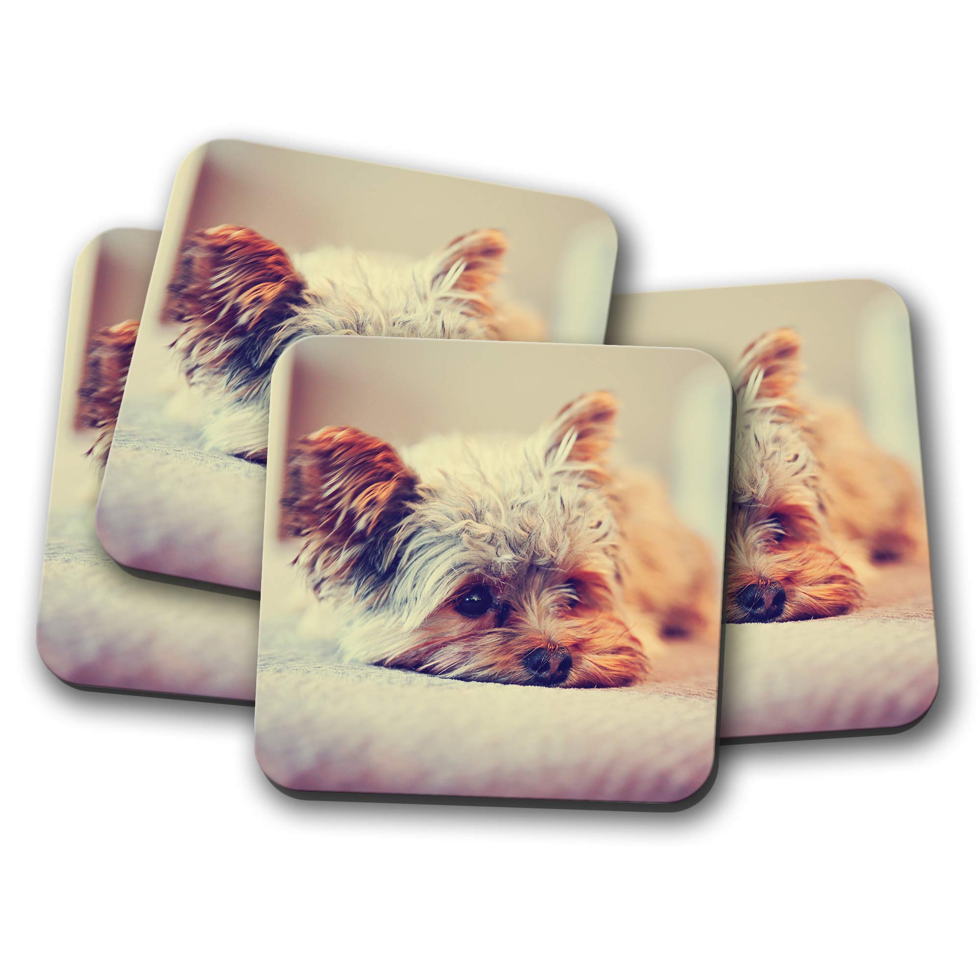 4 Set - Yorkshire Terrier Coaster - Yorkie Dog Puppy Cute Pet Animal #15621