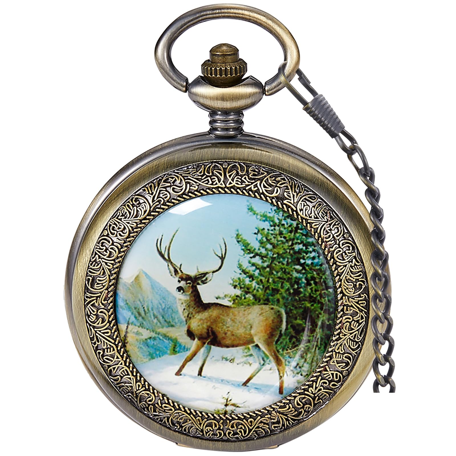 Tiong Vintage Pocket Watch with Chain Mechanical Roman Numerals Steampunk Skeleton Pocket Watch for Birthday Christmas Best Gifts & Gift Box 04-bronze White