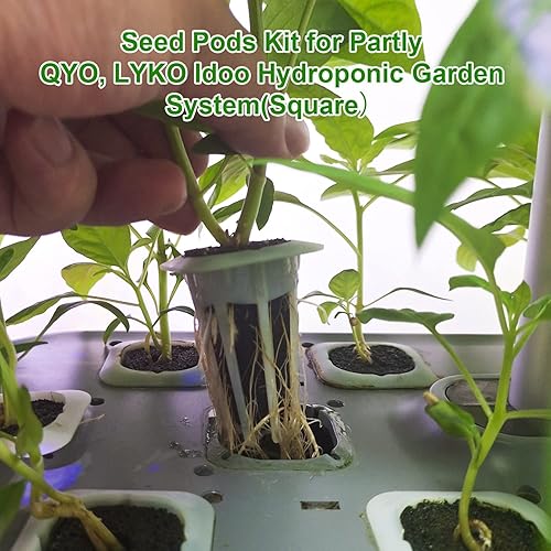 Miniatura 2 de Haovegfloer 30 esponjas de cultivo, cápsulas iniciadoras de semillas de repuesto para crecimiento de raíces, kit de vainas de semillas para QYO,