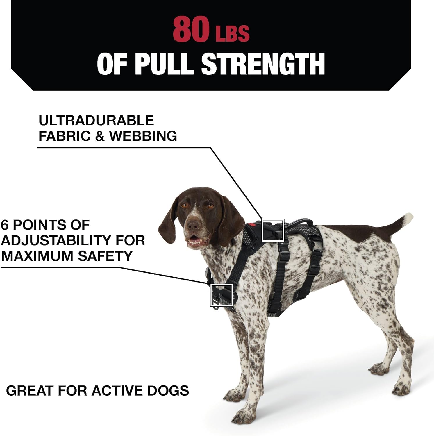 Kong Safety Dog Harness for Dogs Black Small