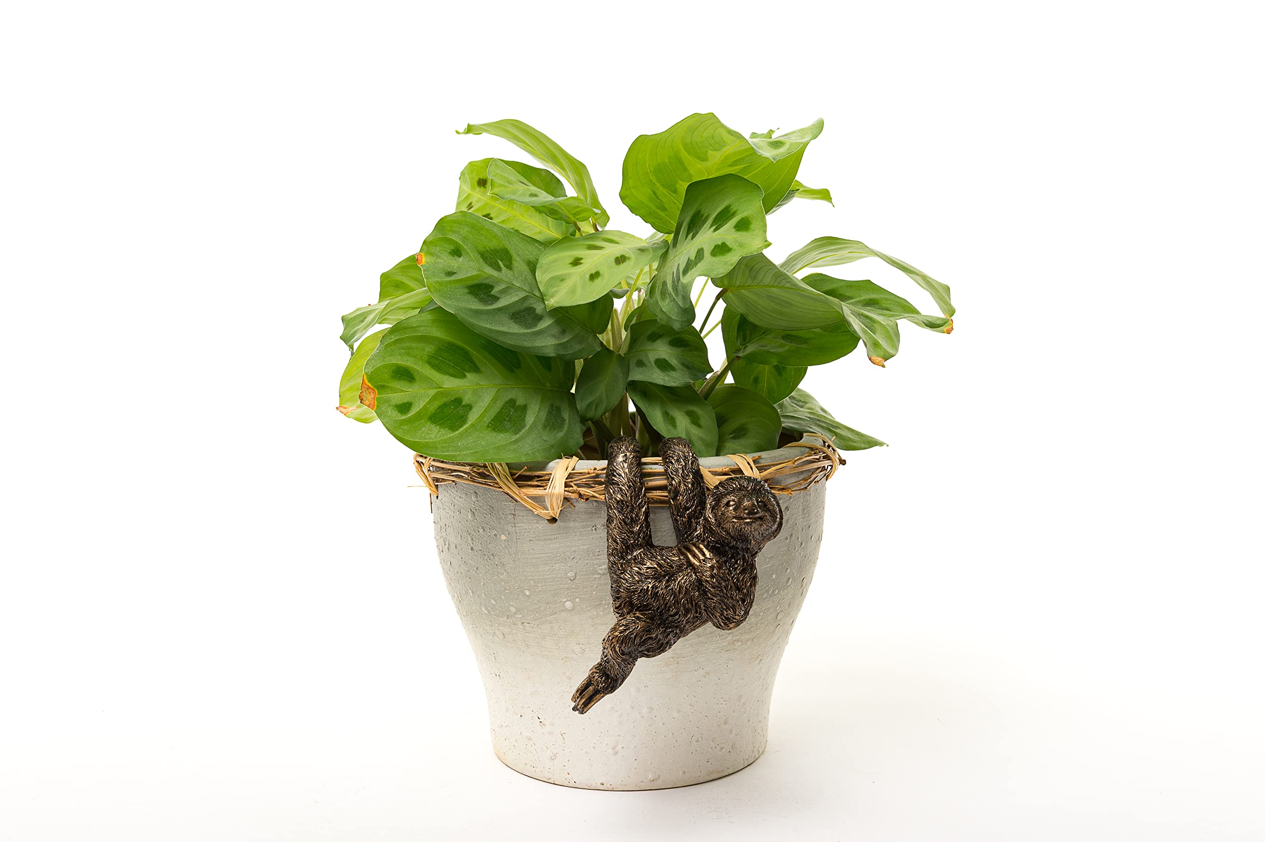 Amazon.co.jp: Pot Buddies ハンドメイド 3本指 ナマケモノフィギュア