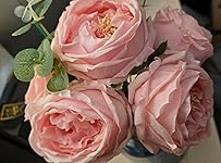 Review Image by Amandazon