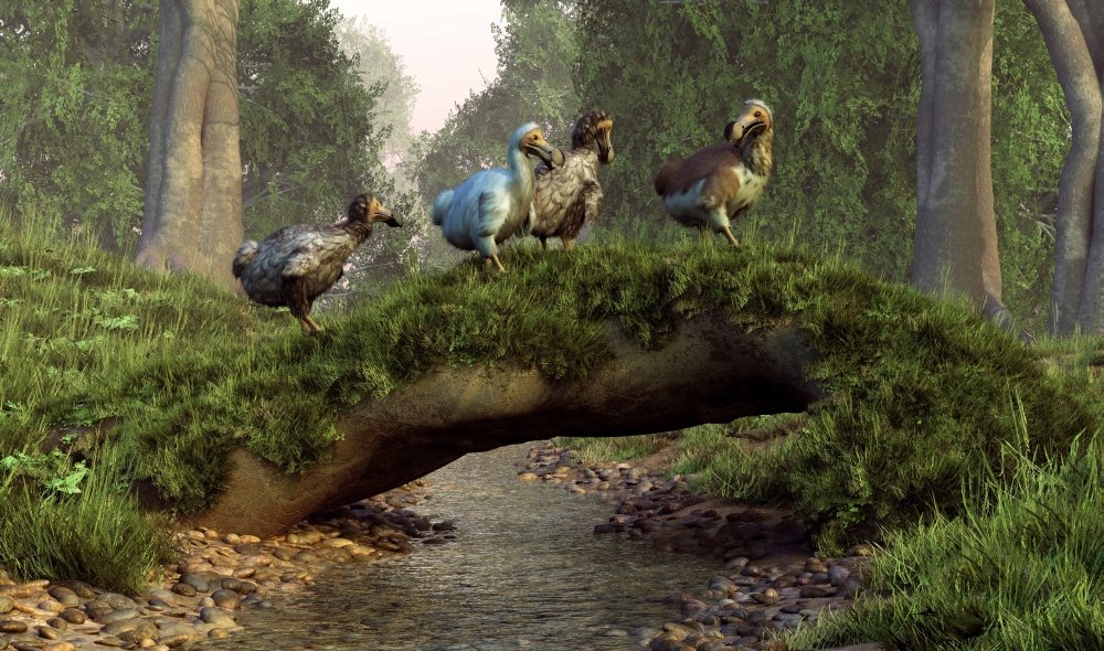 PosterazziA group of Dodo birds crossing a natural bridge over a stream Poster Print, (18 x 10)