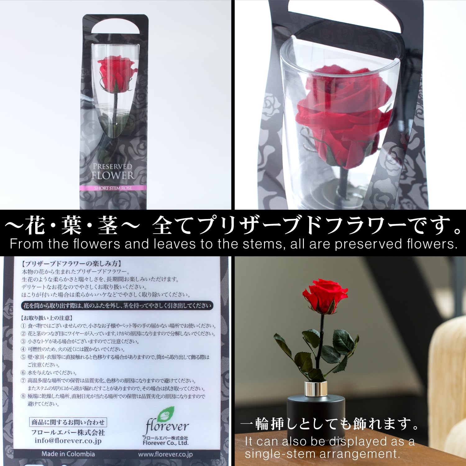 Amazon｜プリザーブドフラワー プリザードフラワー クマさんと一輪の