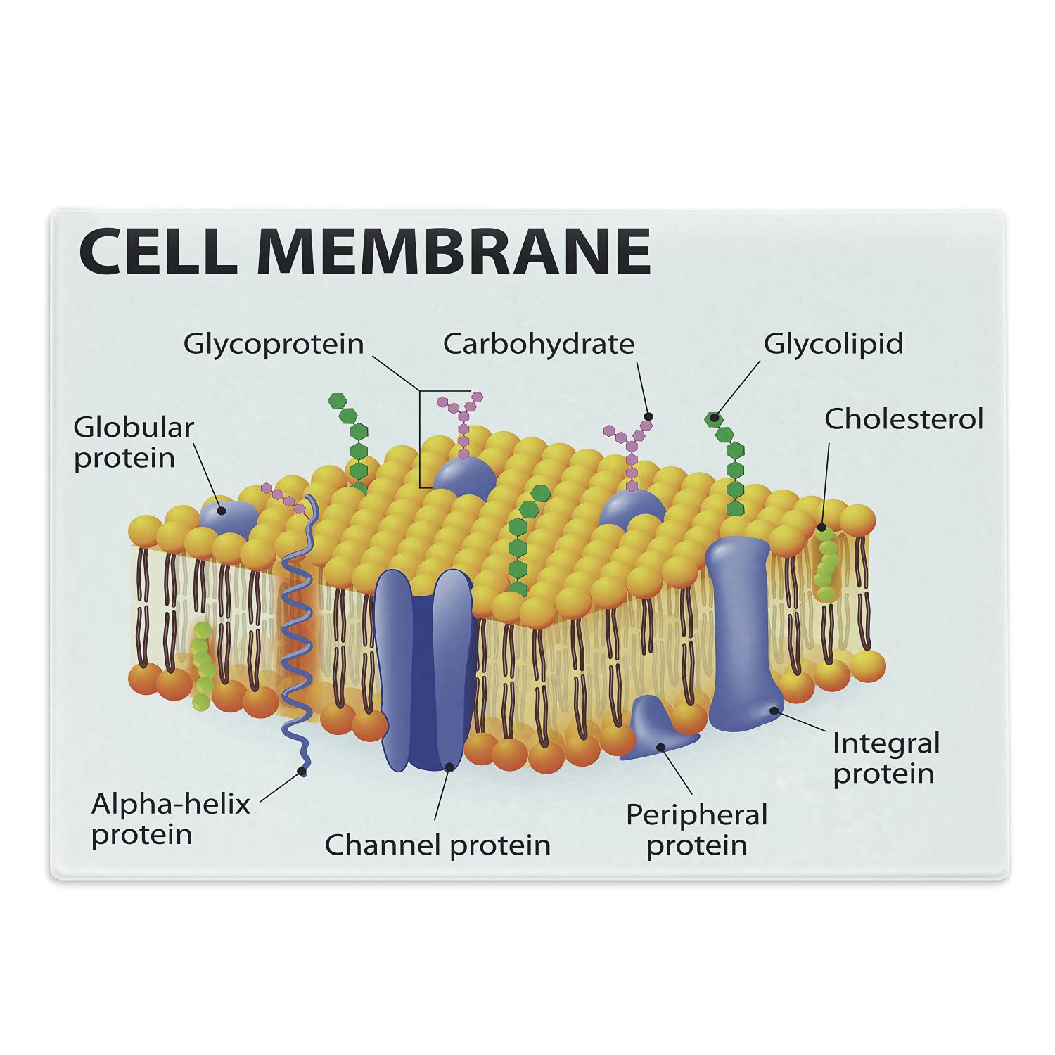 Prohin Channel Channel Protein Diagram