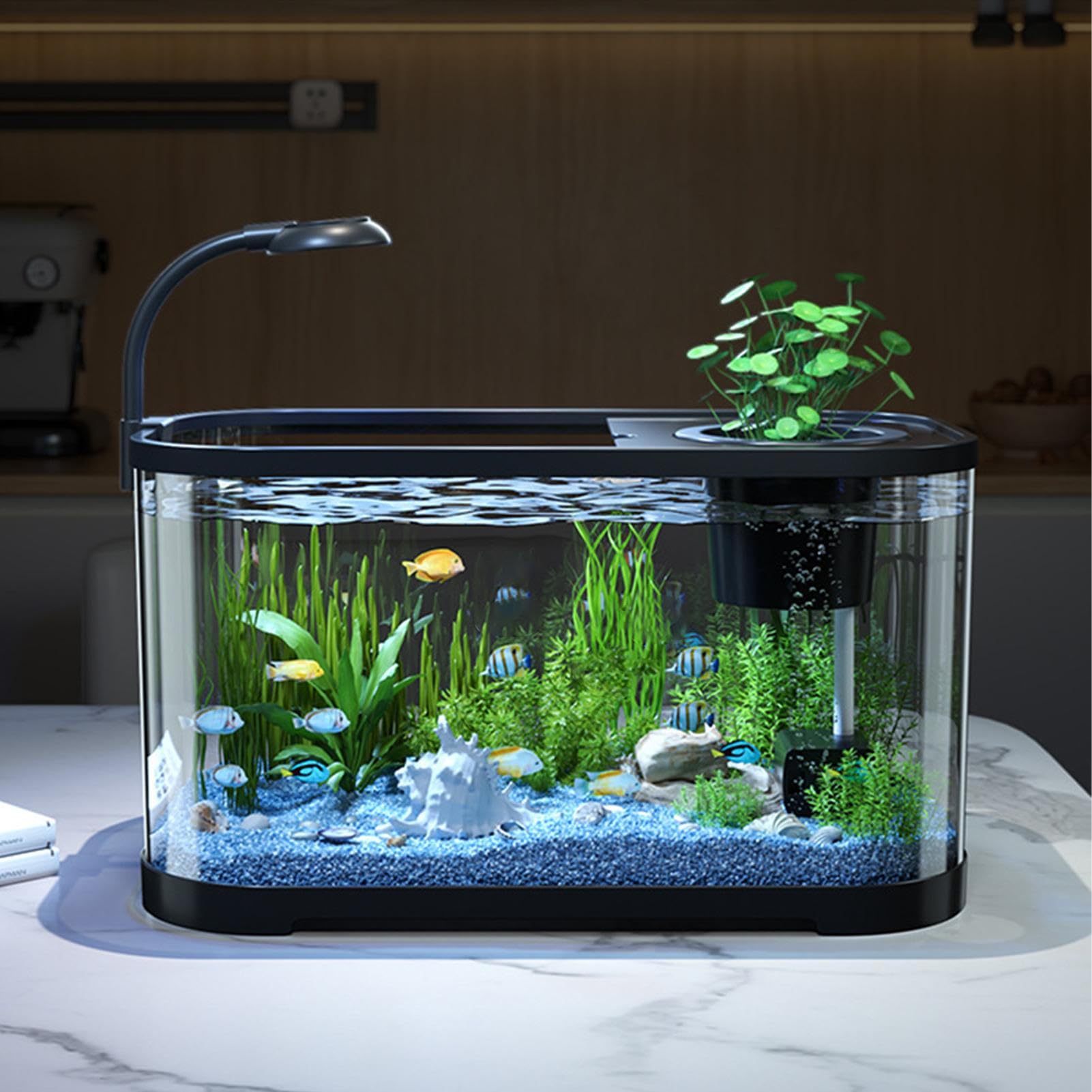 Kleines Aquarium Starter-Set Rahmenloses dekoratives kleines