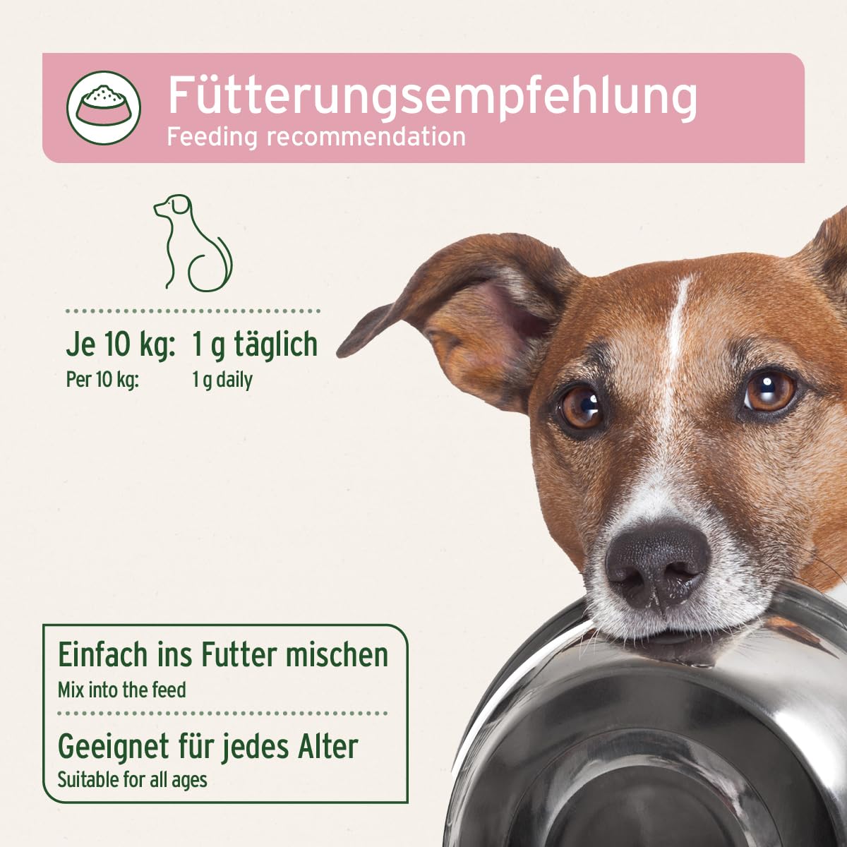 AniForte Blasen-Formel für Hunde 100 g - Weniger Gassi gehen, Unterstützt die Blasenfunktion bei Blasenschwäche, Inkontinez, Harnverlust & Urinverlust