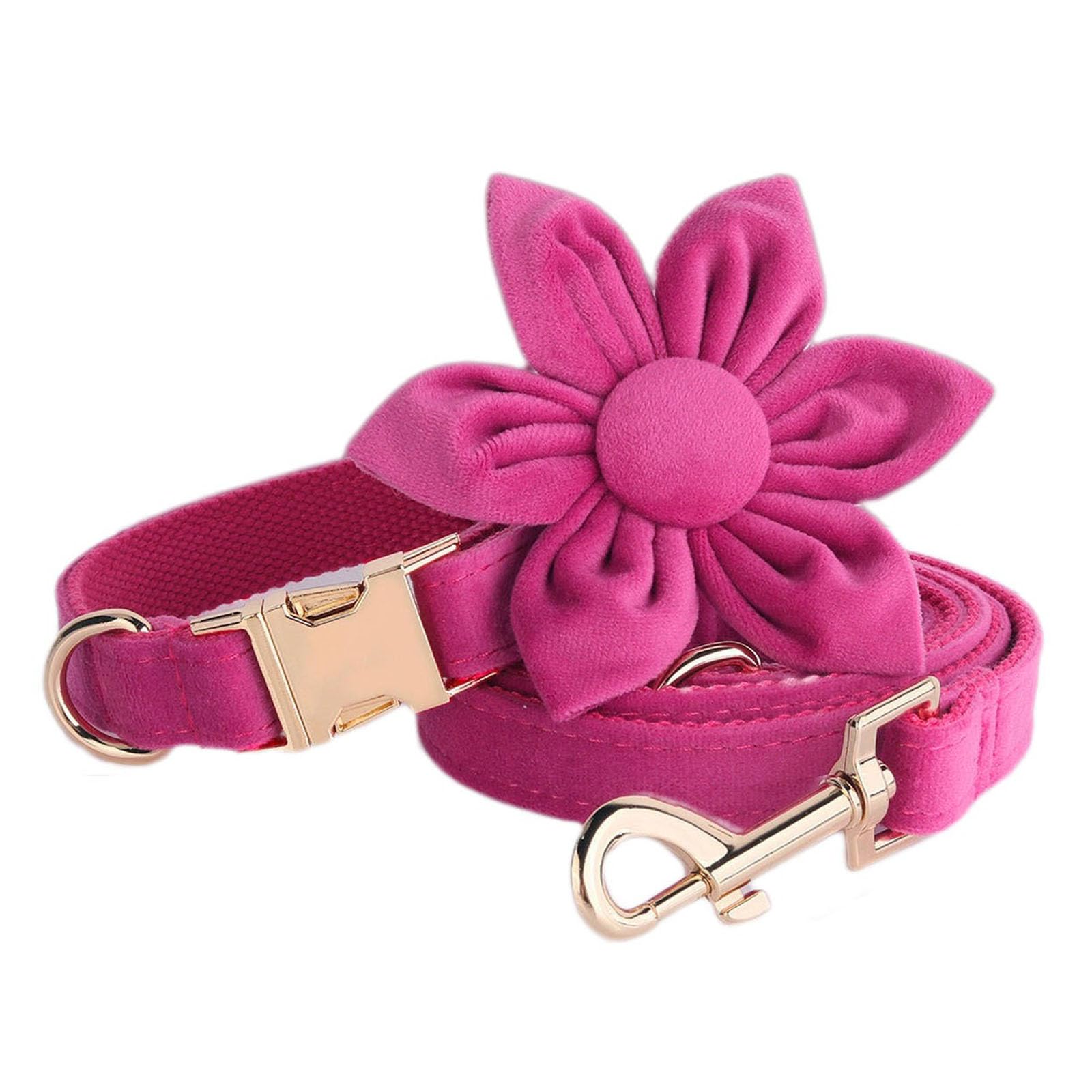 Collier et laisse chiot pour des promenades chics en ville avec nœud papillon