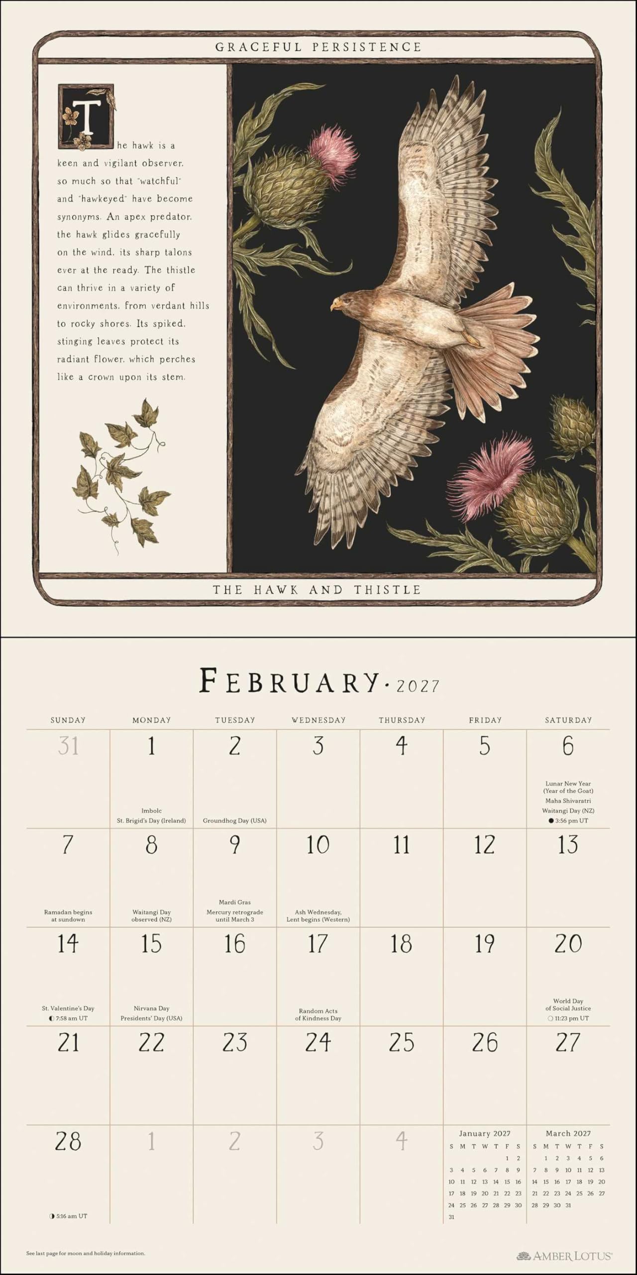 Woodland Wardens 2027 Wall Calendar: The Magical Wisdom of Plants and Animals