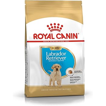royal canin starter golden retriever