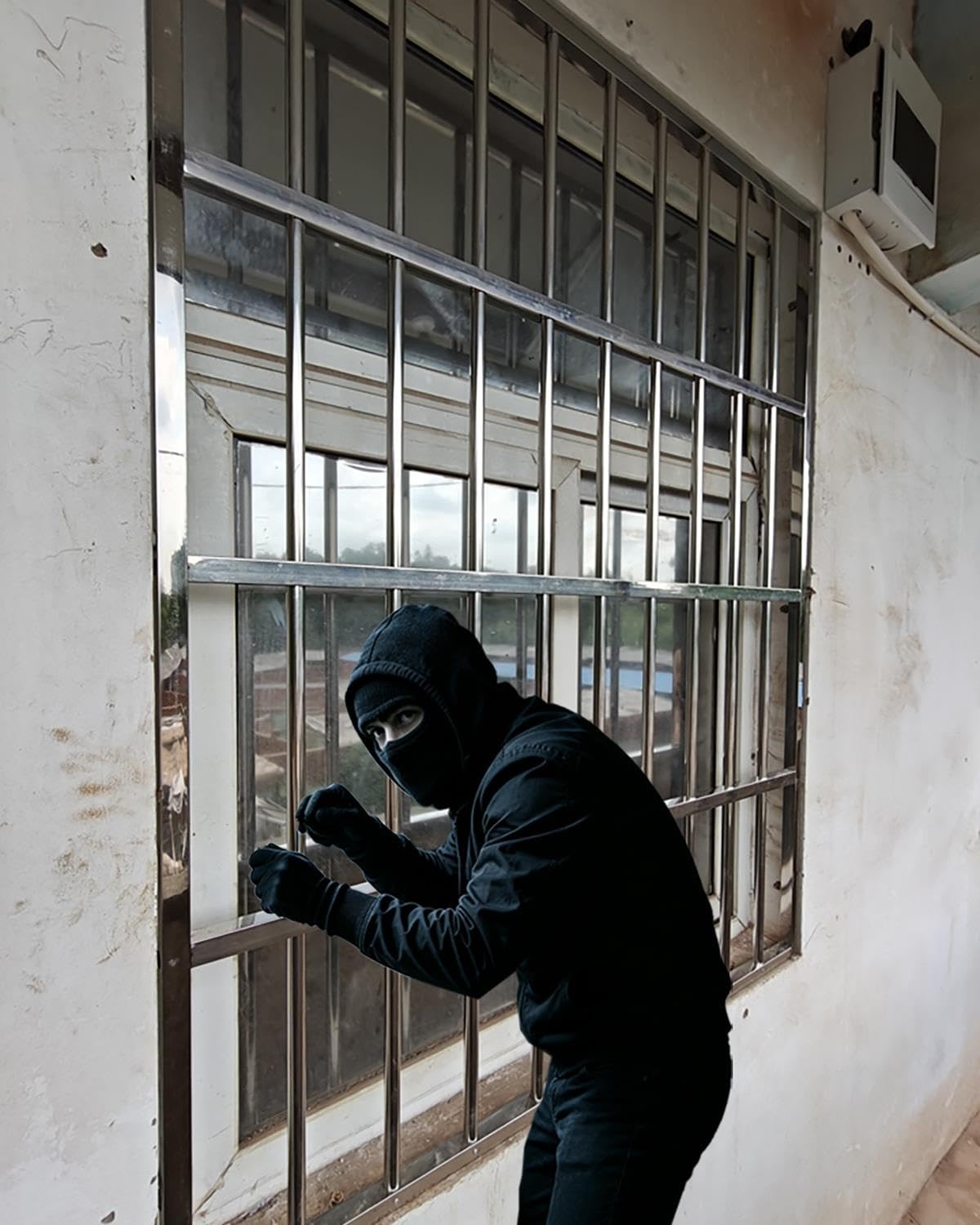 Inferriate per Finestre Recinzione di Sicurezza Antifurto per Finestre | Adatta a Cani e Gatti, Ringhiera Personalizzabile, Barre di Sicurezza Antifurto per Finestre del Seminterrato, Griglia