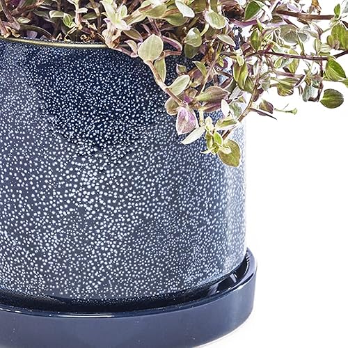 Miniatura 50 de CHIVE Macetas de cerámica para suculentas 'Minute', macetas de 5 pulgadas para cactus y flores de interior con drenaje y platillo desmontable, verde