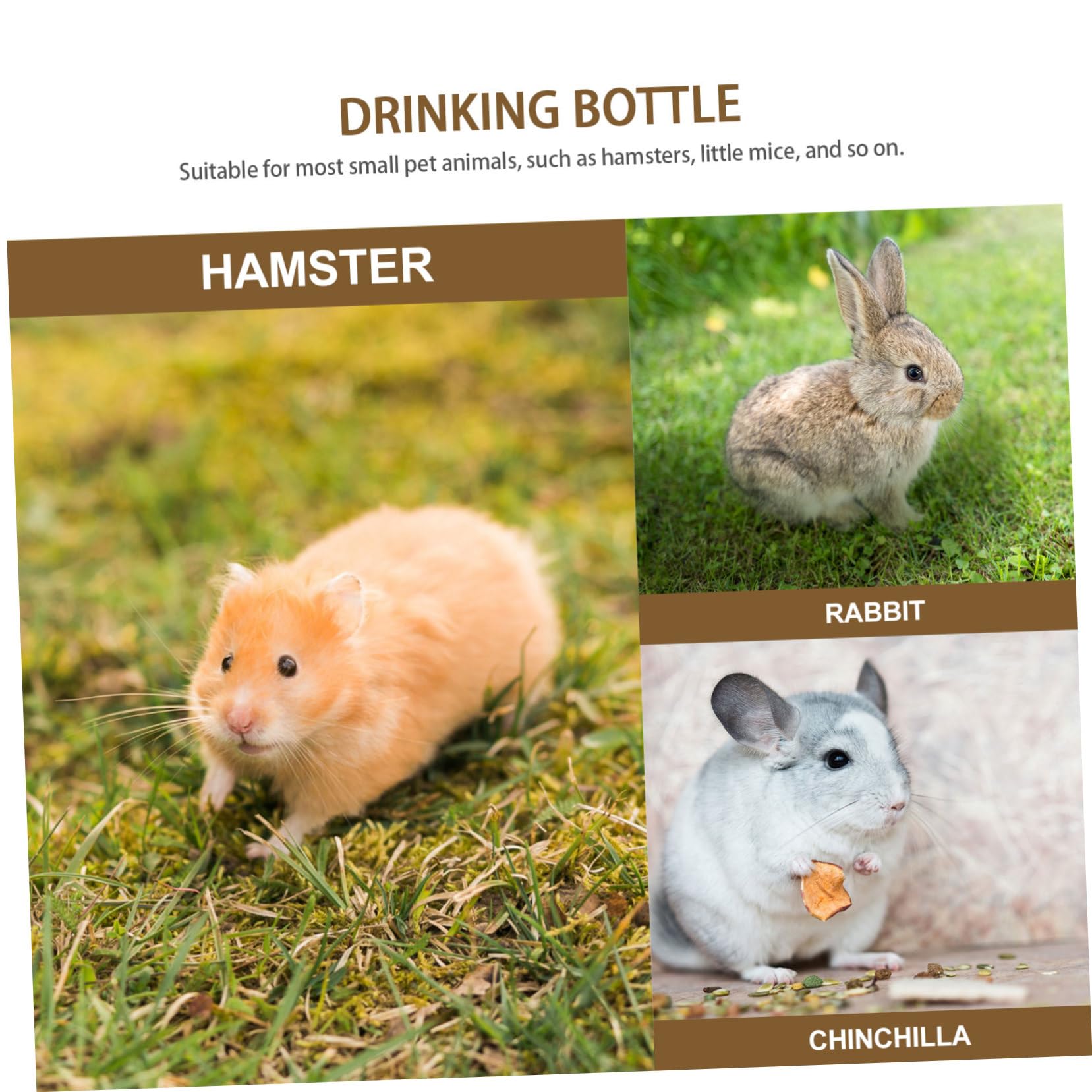350ml Glas und Edelstahl Haustier Trinkflasche für Kaninchen und Kleine Kleintiere mit Bisssicherem Design und Komfortabler Trinkfunktion zum Aufhängen im Käfig