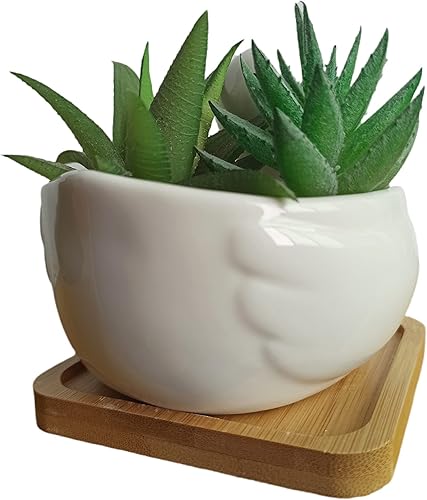 Miniatura 6 de Macetas de cerámica con forma de pato de dibujos animados con forma de pato, maceta con bandeja - Planta no incluida (blanco)