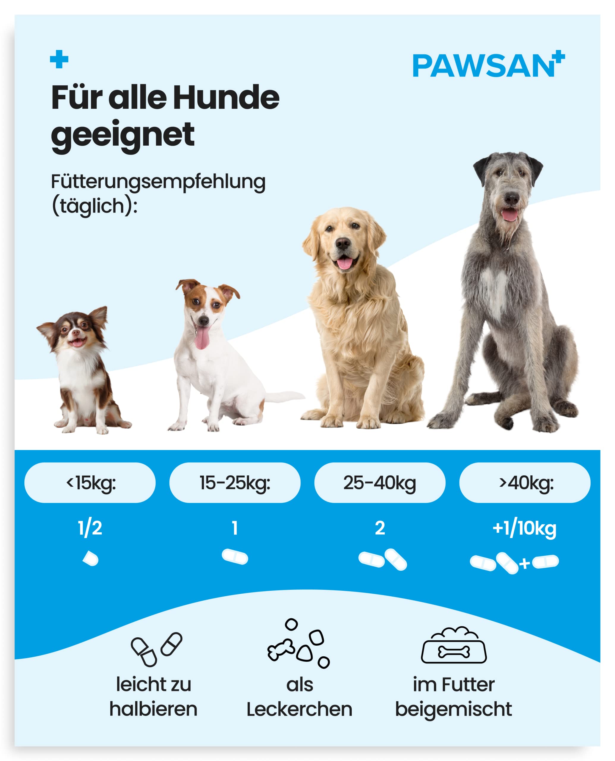 PAWSAN® Gelenktabletten Hund - Grünlippmuschel Hund - HOCHDOSIERT - Gelenktabletten für Hunde mit Teufelskralle Hund, MSM Hund & Kollagen Hund - Gelenk- & Knochenschutz für Hunde