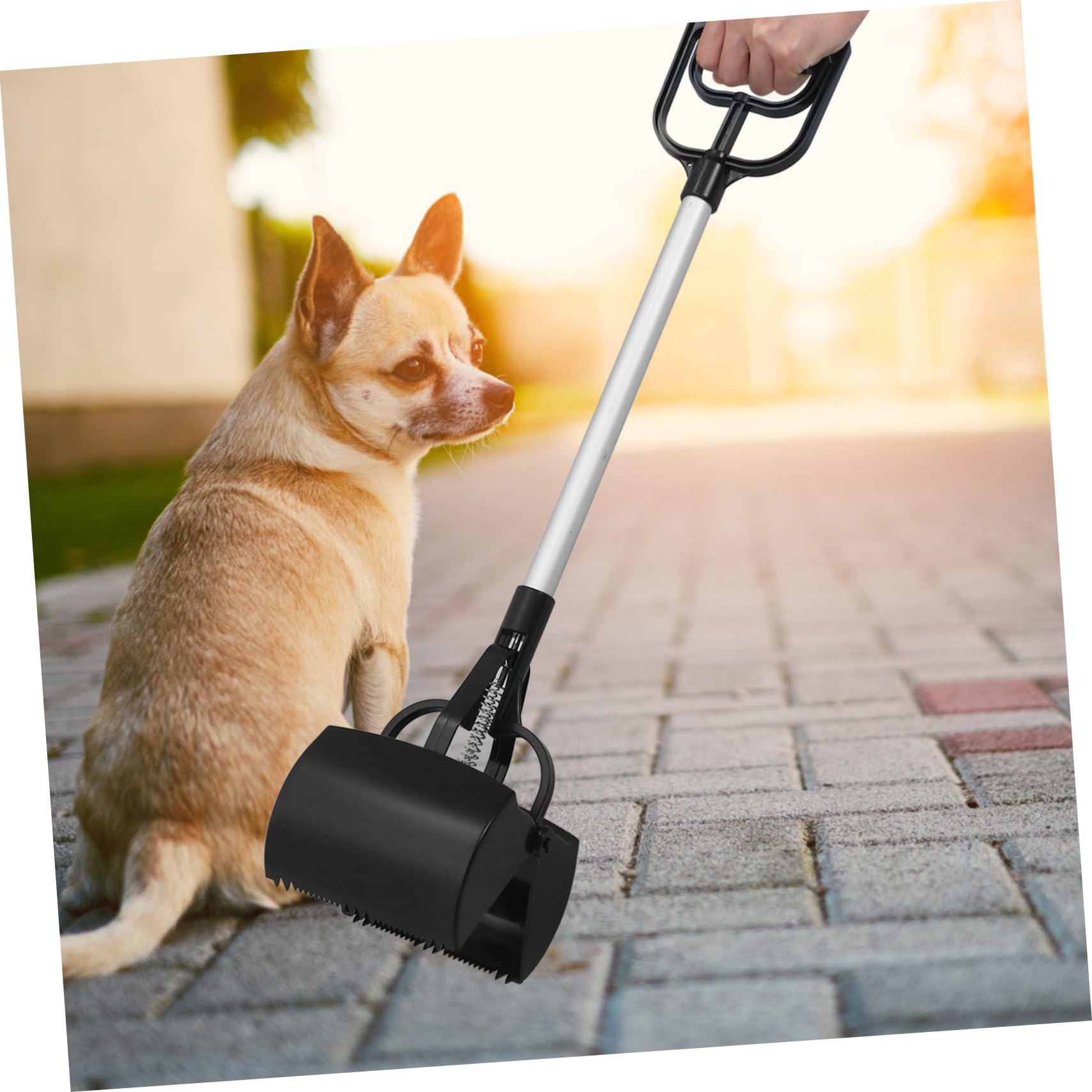 Ramasse-crottes pour Animaux De Compagnie à Longue Poignée, Pelle Plastique Solide, Taille Standard, Usage Extérieur Et Intérieur, Nettoyage sans Contact, pour Chiens Et Chats