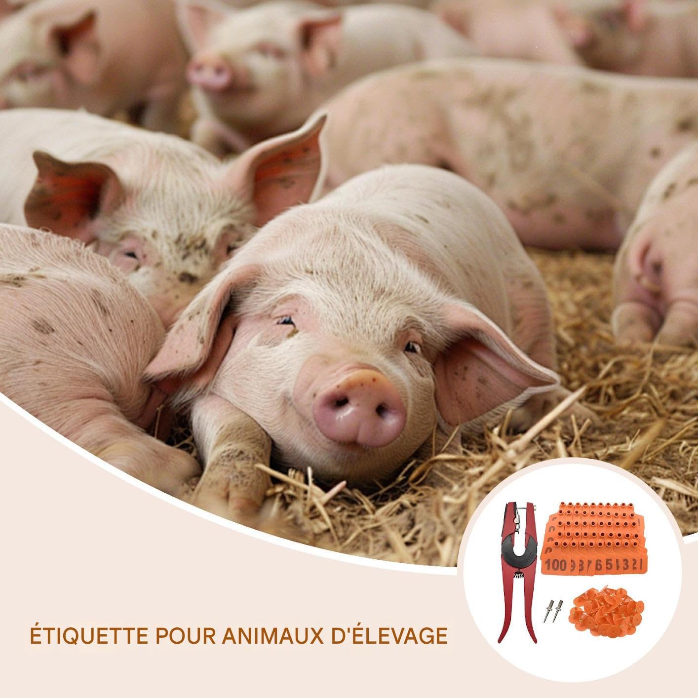 Boucles d'Oreilles pour Bovins | Étiquettes De Marquage Pour Bétail | Numéro 001-100 Boucles Auriculaires Avec Applicateur Pour Gestion Du Bétail Identification Moutons Bovins Chèvres