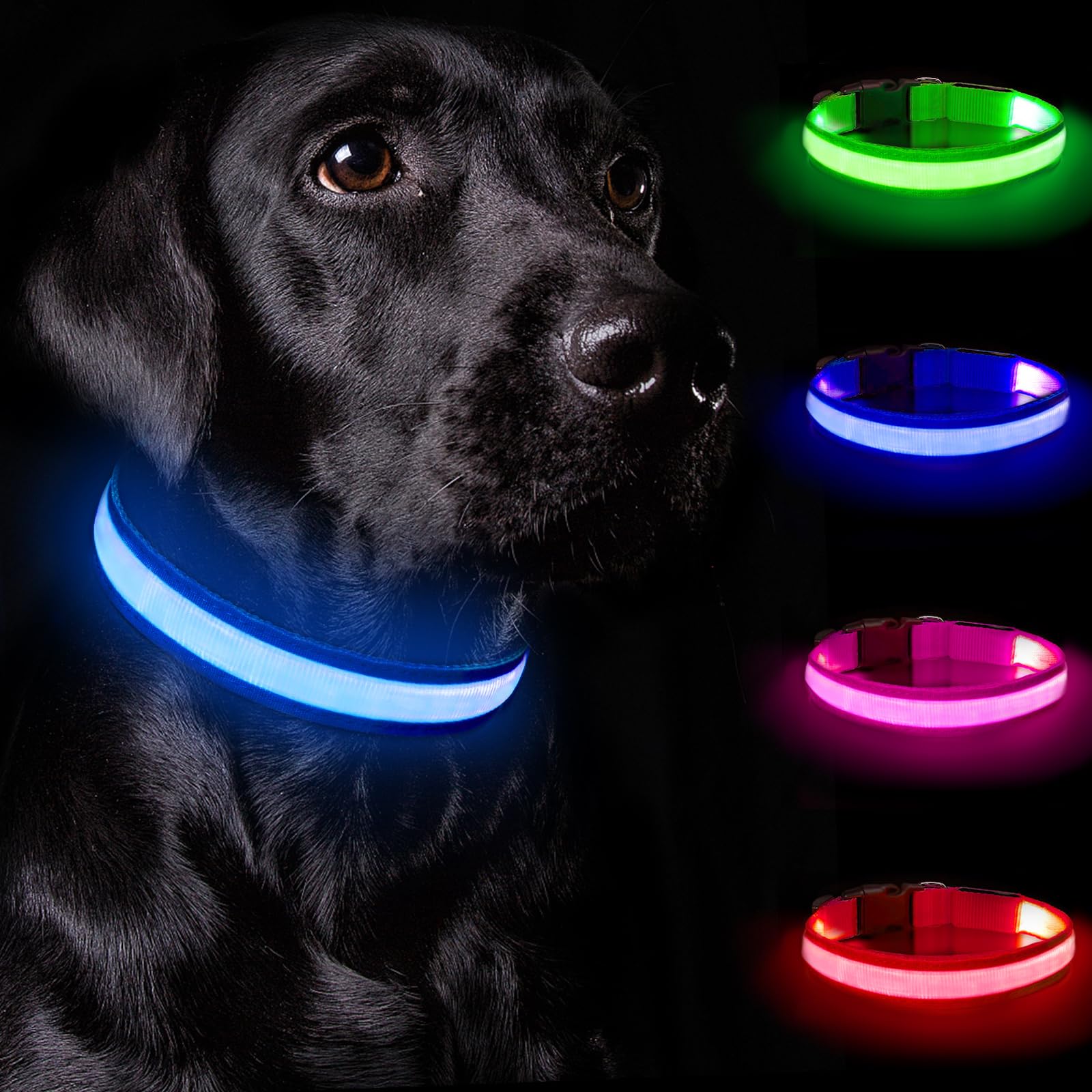 Nepfaivy Collare Luminoso per Cani Ricaricabile - Collare per Cani a Led con Lunghezza Regolabile, 3 Modalità di Illuminazione per la Sicurezza Notturna, Blu