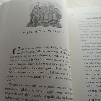 Harry Potter And The Half-Blood Prince