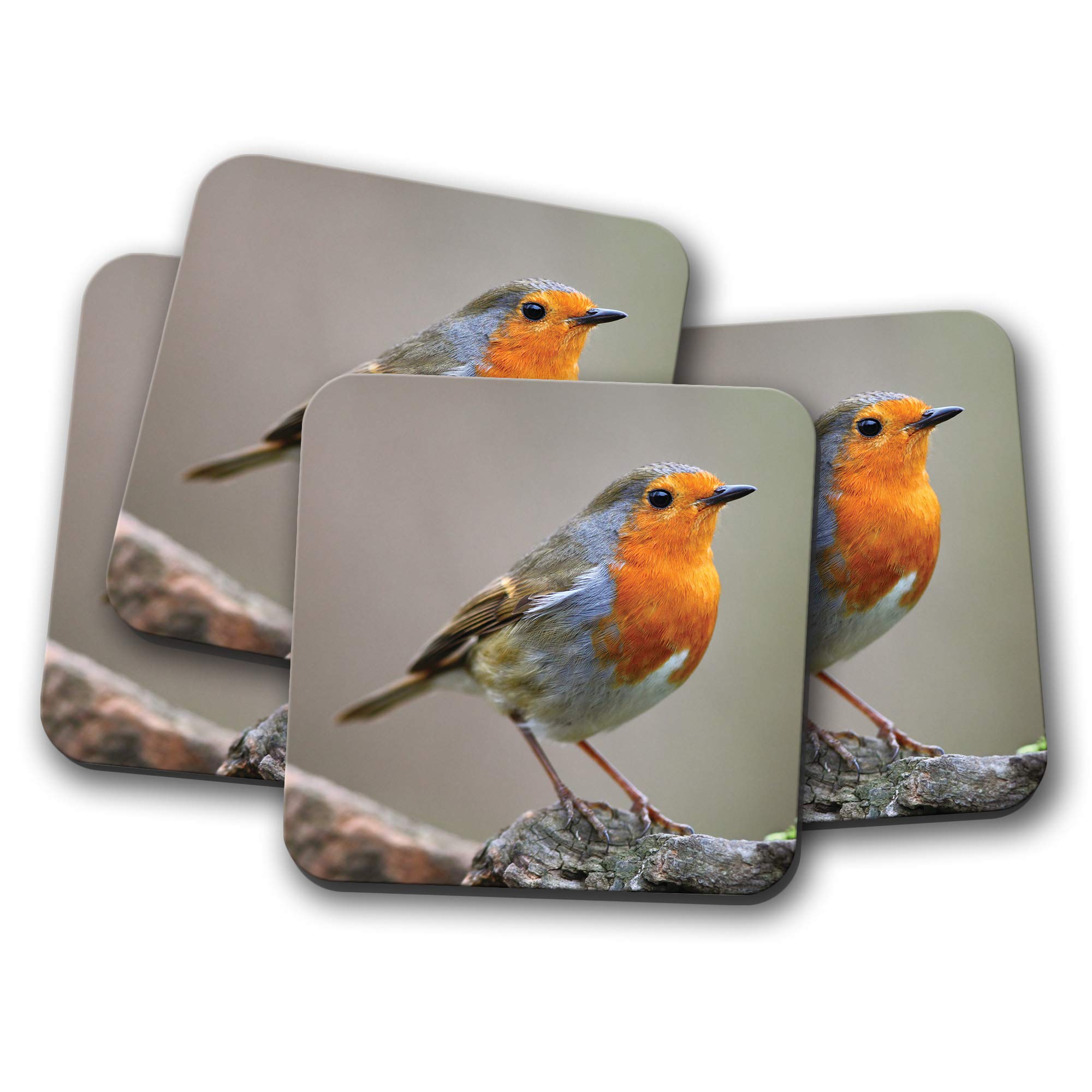 Destination Vinyl Ltd Multicolor 4 Set - Adorable Red Robin Coaster - Bird Birds Garden Wildlife Cute #15494