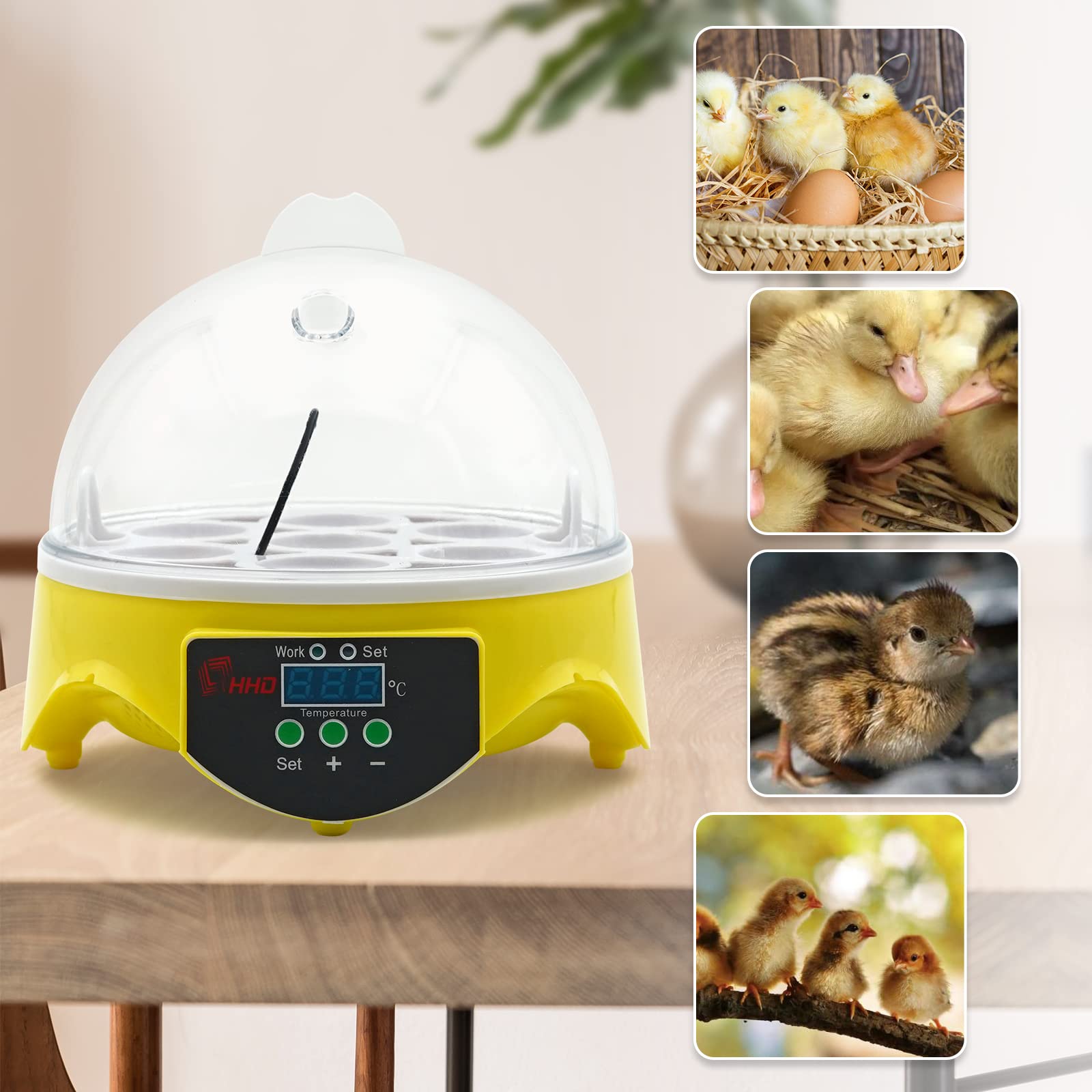 7 Incubatrice per Uova di Gallina con Controllo Della Temperatura, Incubatrice per Uova Di Rettile con Display Digitale a Led per Galline, Anatre, Oche, Piccioni, Quaglie
