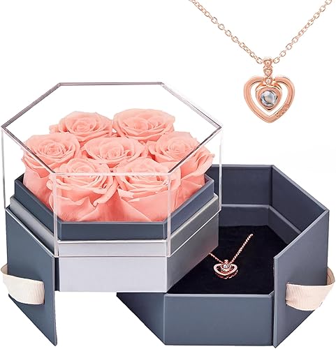 Beaulasting Roses Rosas preservadas en un joyero, rosas eternas con collar, regalo para el día de la madre, día de San Valentín, boda, aniversario,