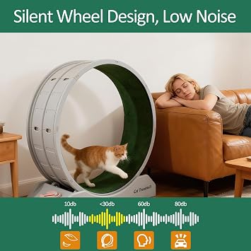Cat Exercise Wheel for Indoor Plastic Cat Running Wheel for Cats Fitness | Silent Spinning & Safety Lock Cats Treadmill with Carpeted Runway for Kitty's Health