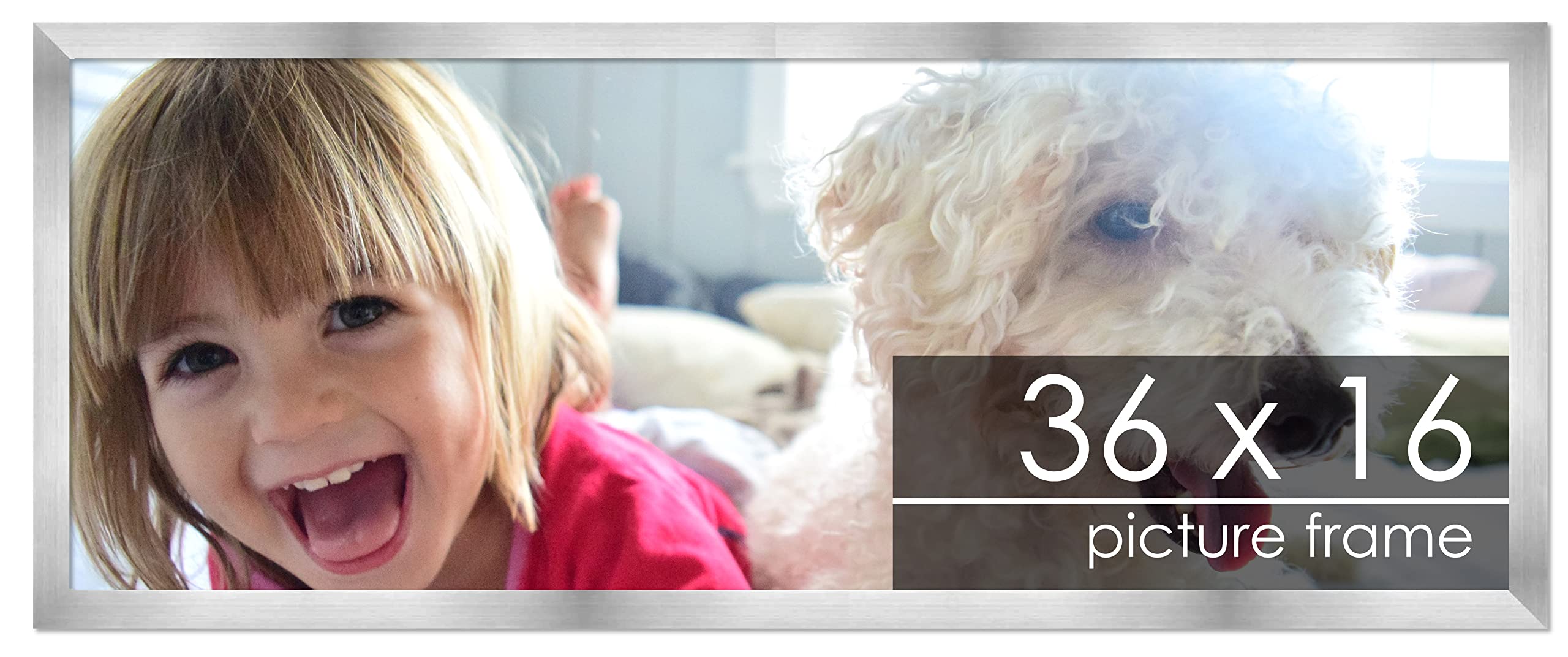 36x16 Frame Silver Pewter Wood Panoramic Frame with UV Acrylic Plexiglass, Foam Board Backing & Hardware Included