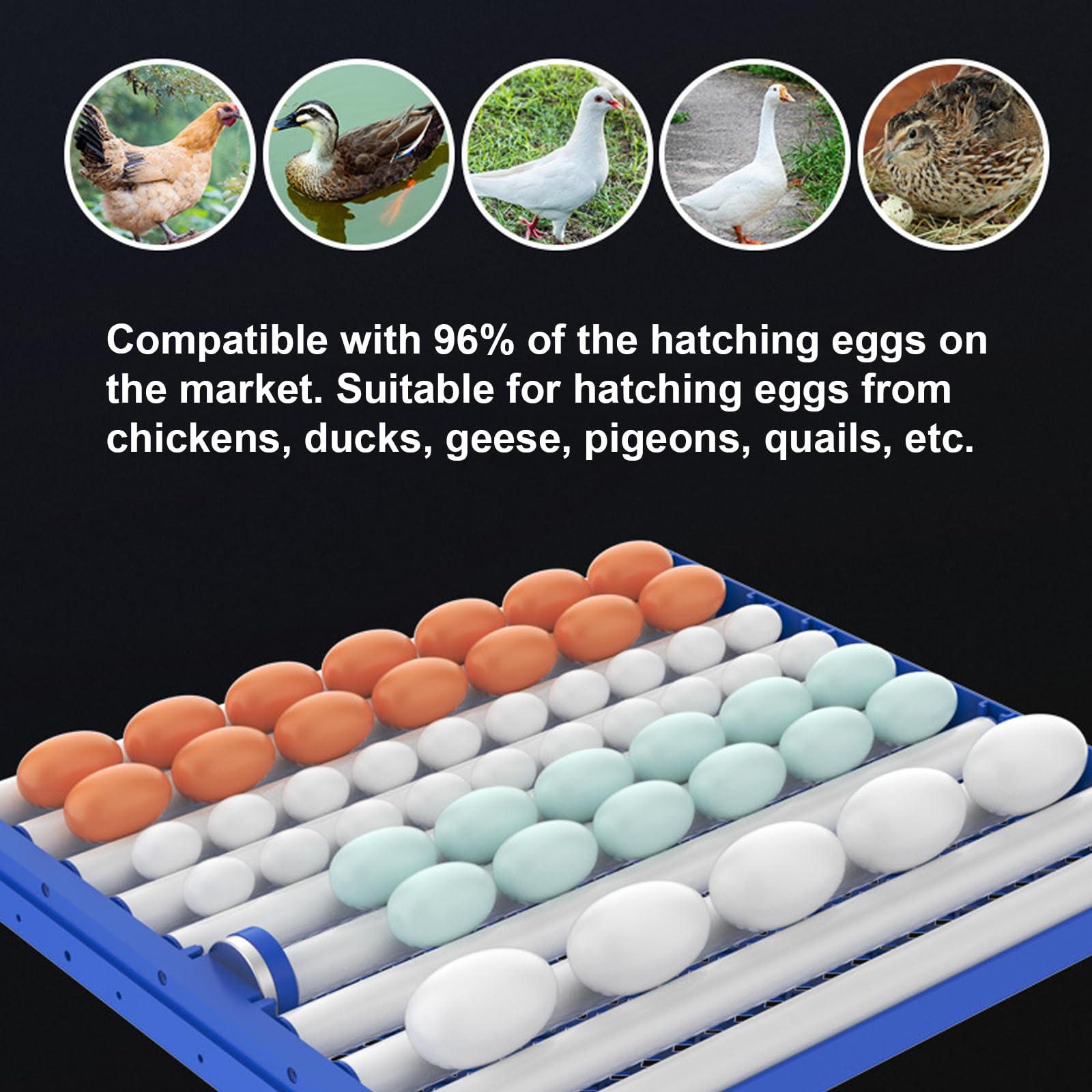 Automatyczny Inkubator Do Jaj Z Kontrolą Temperatury I Wilgotności, Duży Cyfrowy Wylęgarnia Drobiu, Do Jaj Kurcząt, Kaczek, Gęsi, Gołębi(Size:204 eggs)