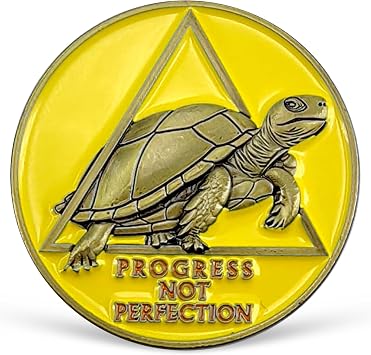 Turtle Wisdom Sobriety Coin - Progress Not Perfect AA Coin - One Step At A Time AA Chips and Medallions Celebrate Living Clean Alcoholics Anonymous Gifts for Men Women