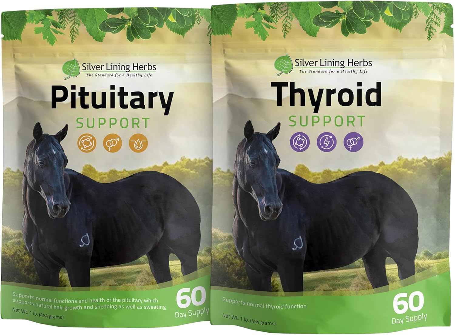 Silver Lining Herbs Metabolic Bundle for Horses – Thyroid & Pituitary Support for Insulin Resistance, Cushing’s/PPID, Weight & Hormone Balance - Formulated Specifically for Equine Metabolic Health