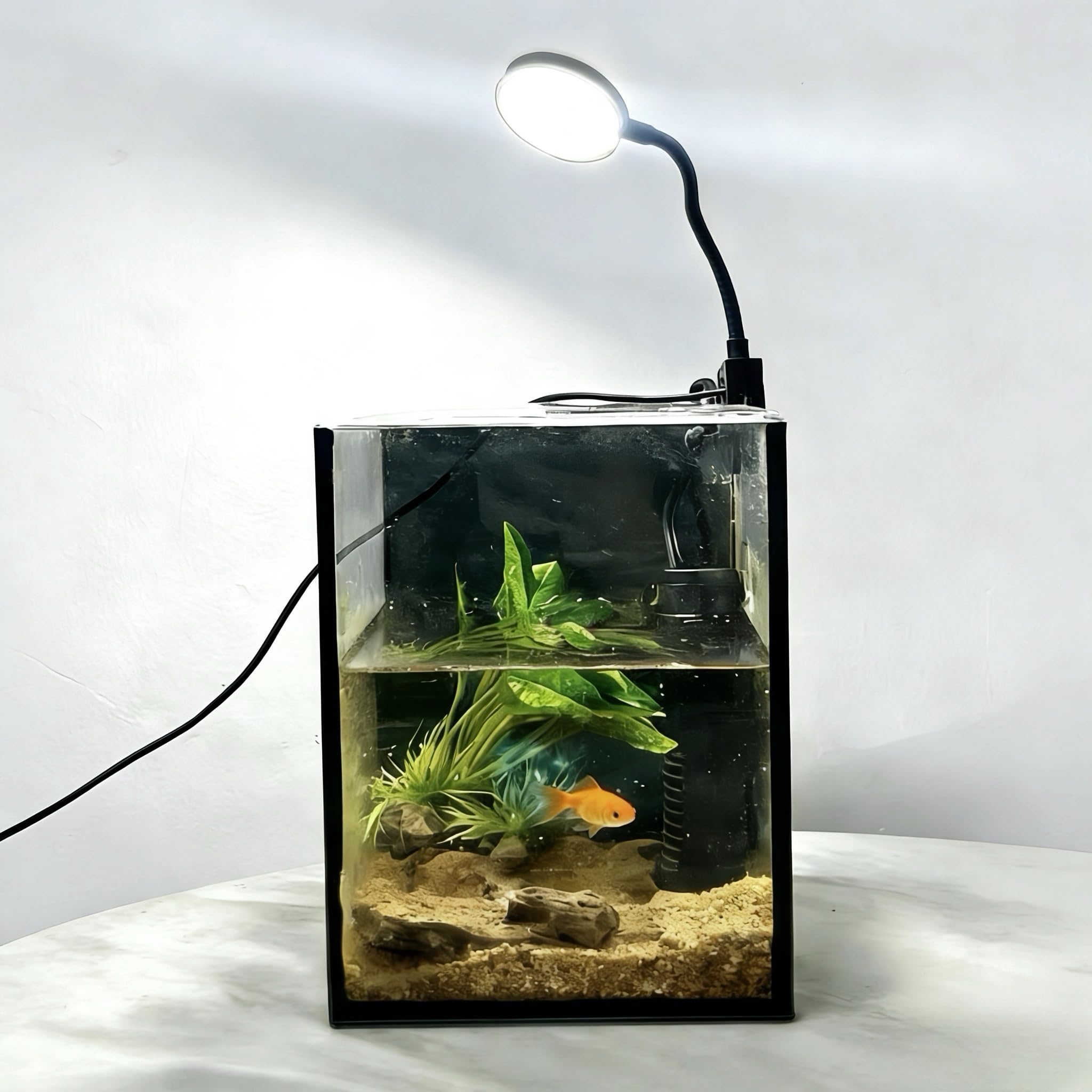 LYPHARD AQUARIUMS Mini Aquarium Set Fish Tank Shrimp Tank Snails Tank Planted Tank 1.2 Gallon Aquarium Kit, Small Desktop Fish Tank for Small Aquatic Pets for Beginner