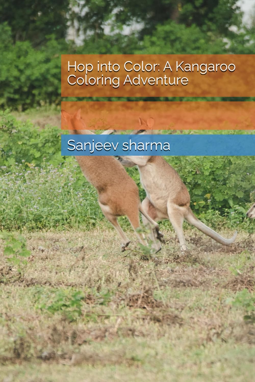 Hop into Color: A Kangaroo Coloring Adventure