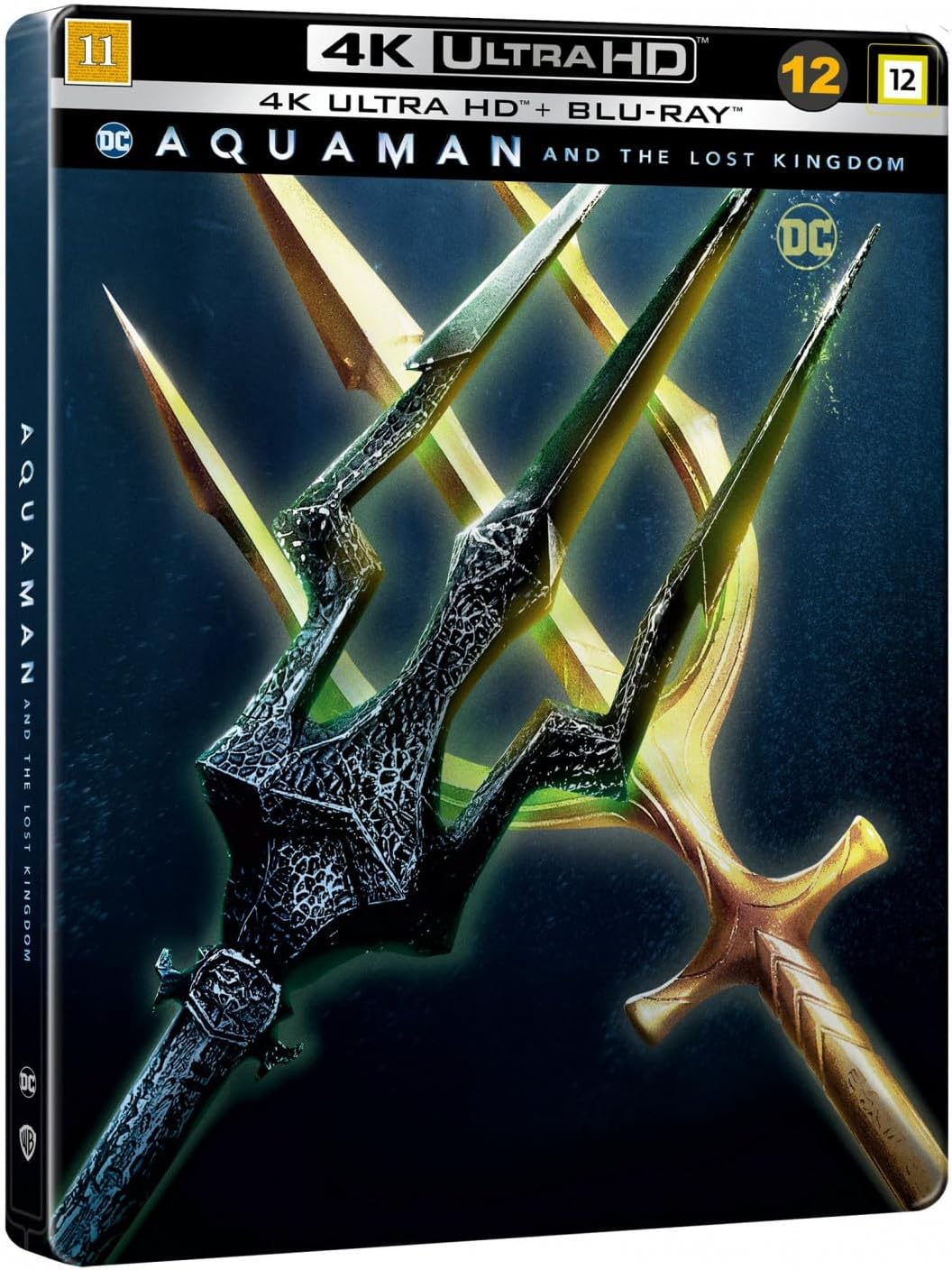 SF STUDIOS Aquaman and the Lost Kingdom, Black, 1303401