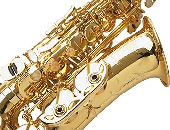 Amazon.com: Selmer Paris Alto Saxophone, Gold (62J