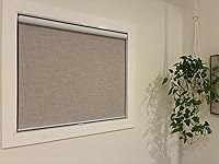 Review Image by francisco Rivera