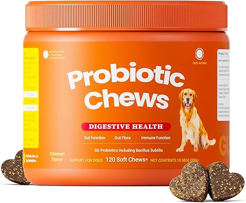 Dreress Probióticos para perros - Enzimas digestivas para la flora intestinal, la salud digestiva, la diarrea y el apoyo intestinal - DE111