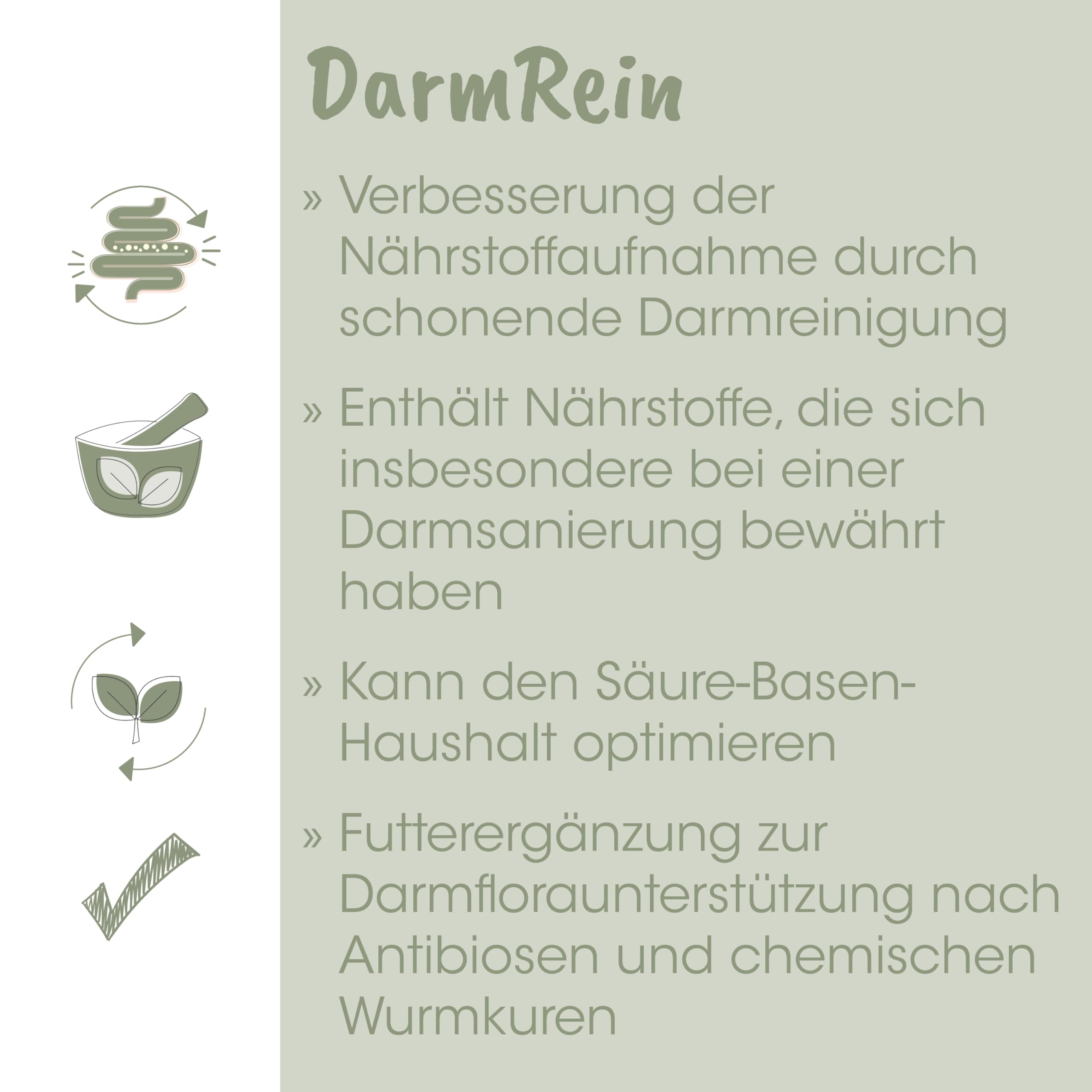 EquiGreen DarmRein 250ml - Natürliches Pferdefutter zur Unterstützung der Darmflora und Verdauung