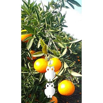 PRAV 8pcs Hanging Discs Decorative Scare Deterrent Pest Bird Repellent Reflective