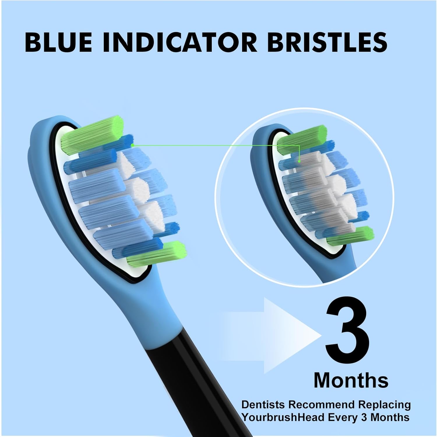 Toothbrush Heads Compatible with Philips Sonicare C3 C2 G3 A3 W2 Replacement Heads, 12 Pack Brush Heads Compatible with Philips Sonicare Snap-On Toothbrush Handles, Black 1 Count (Pack of 12) Black image 5 of 7 B0DP2V5B8D