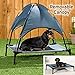 Lakeside Elevated Pet Bed with Canopy