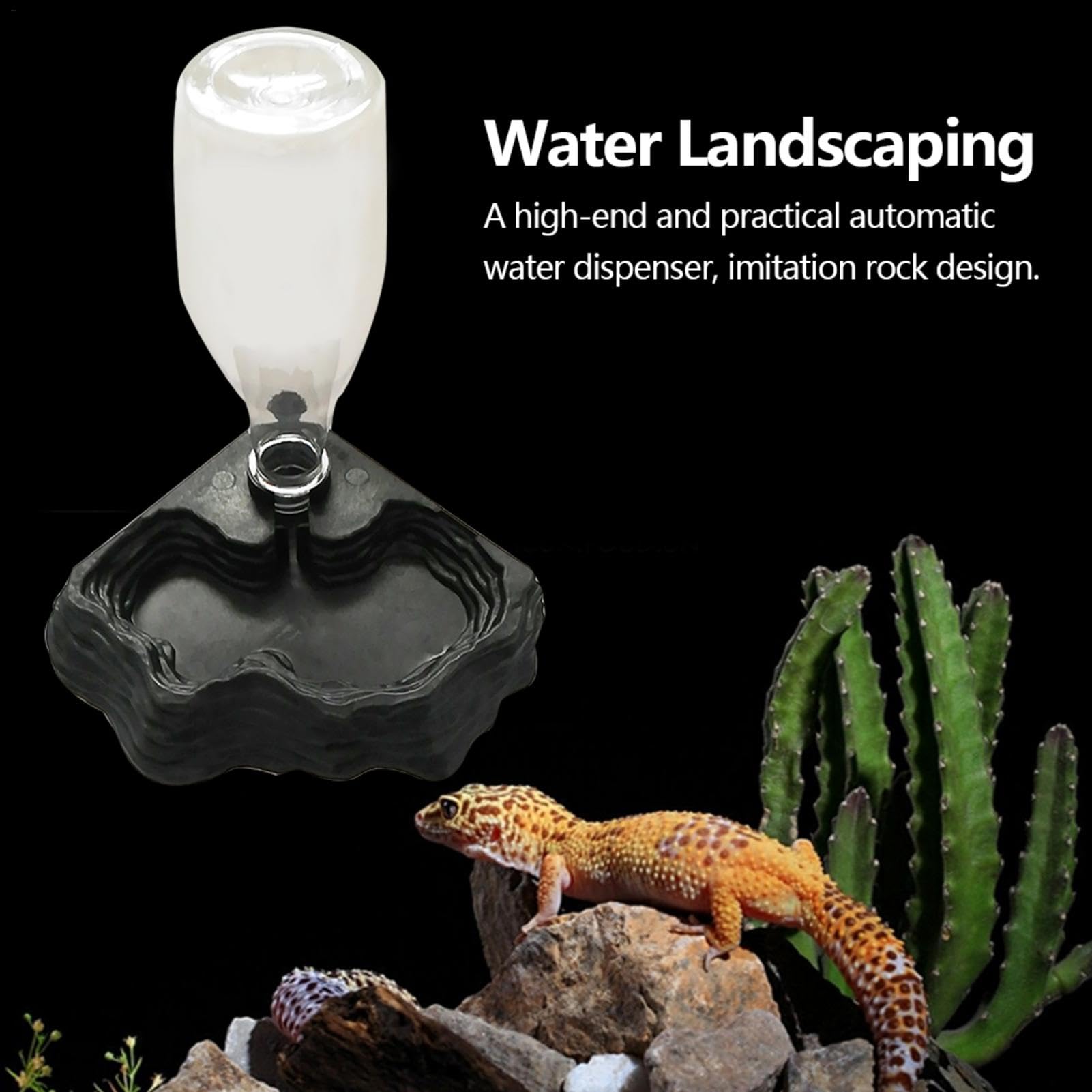 Distributeur d'eau pour Reptile, Abreuvoir Tortue, Mangeoire Gamelle Tortue Terrestre, Anti Debordement Plastique Bol Accessoire